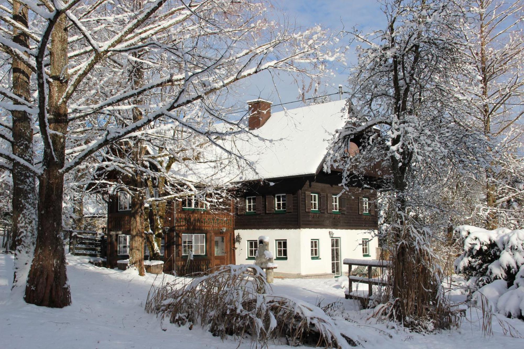 Вілла Ferienhaus Gut - Eisenlehen Бад-Гойзерн Екстер'єр фото